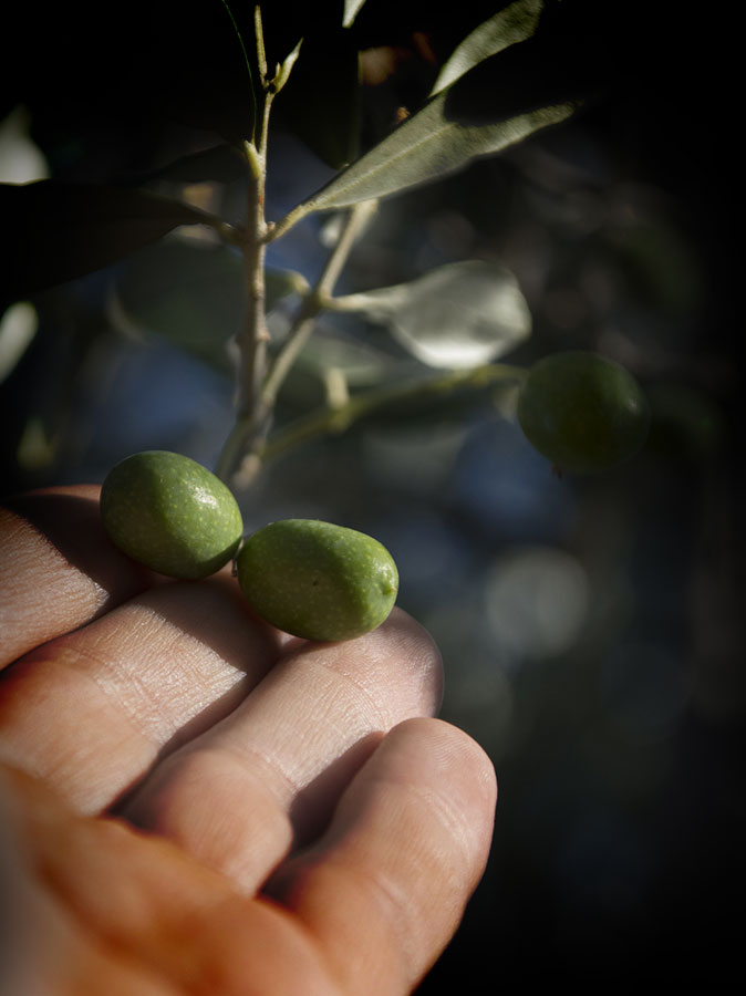 Eerlijke producten uit de natuur